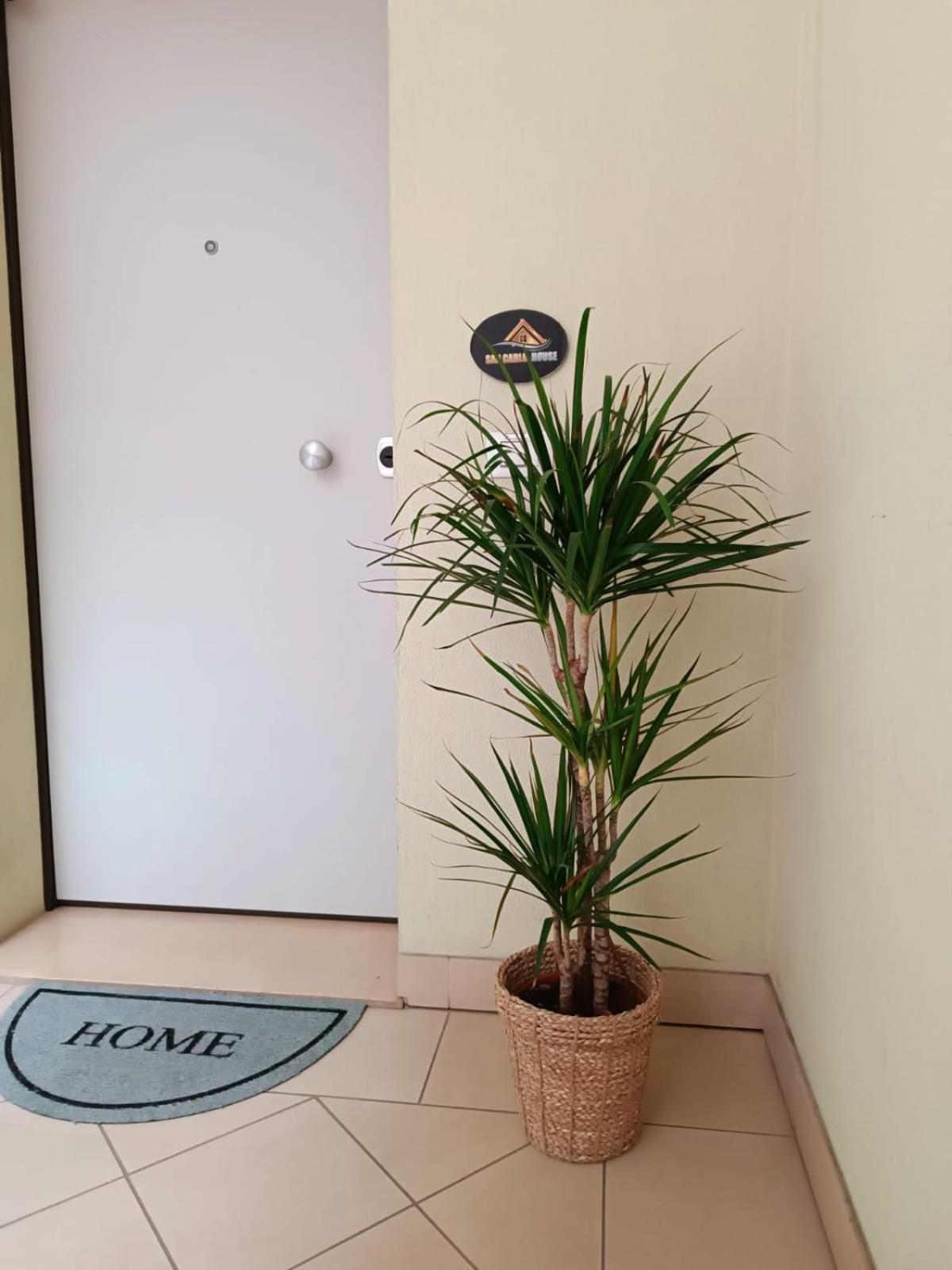 San Carlo House Apartment Castel Guelfo Di Bologna Exterior photo